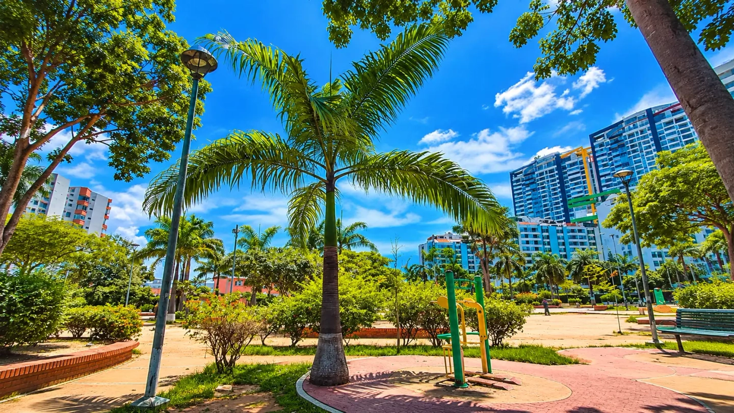 Bucaramanga: City Tour Diurno por Parques, Centro Histórico y Calzado