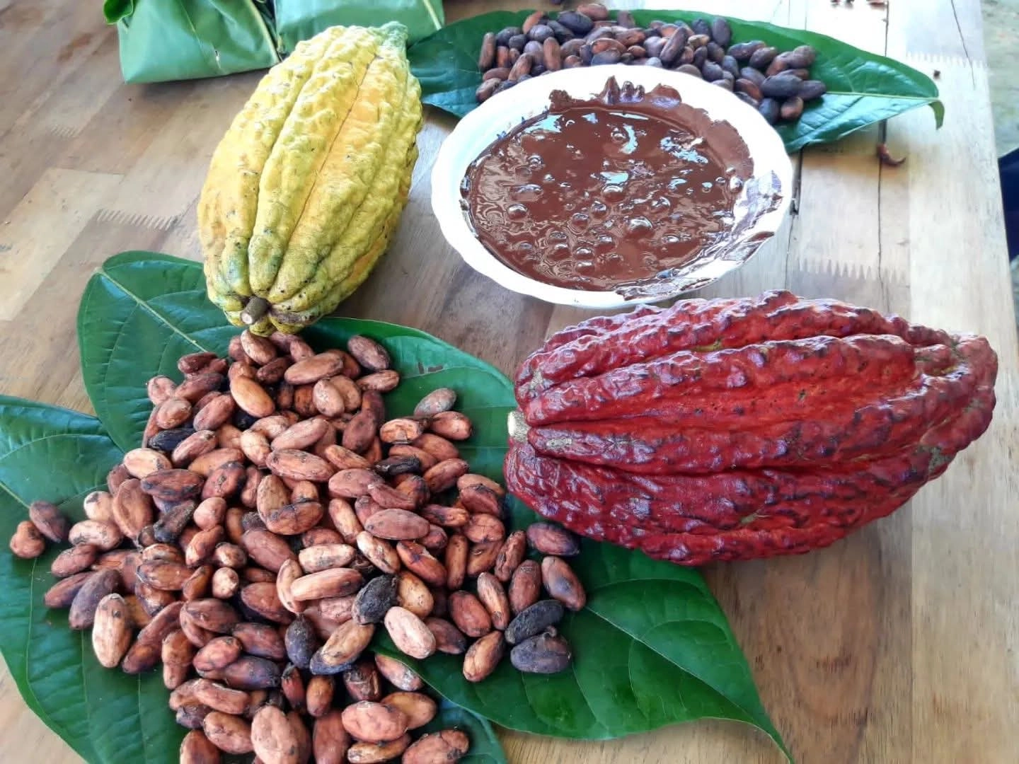 tour del chocolate