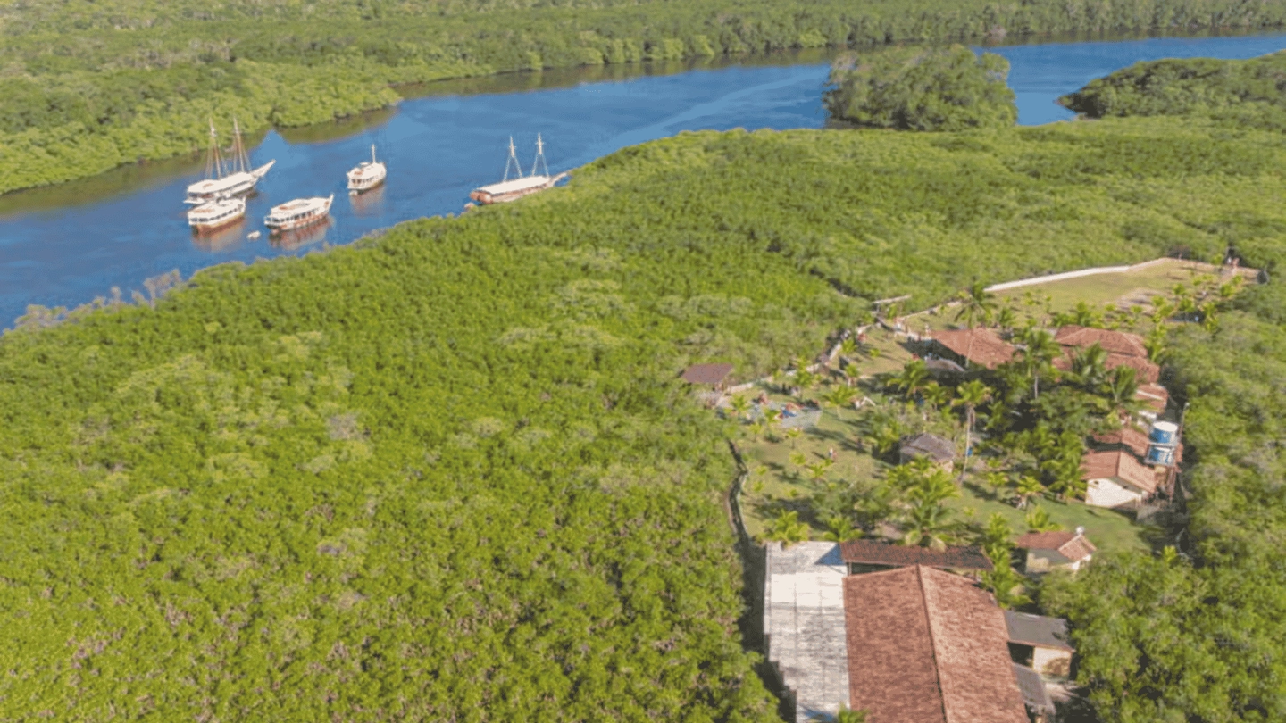 Fluvial – Coroa Alta