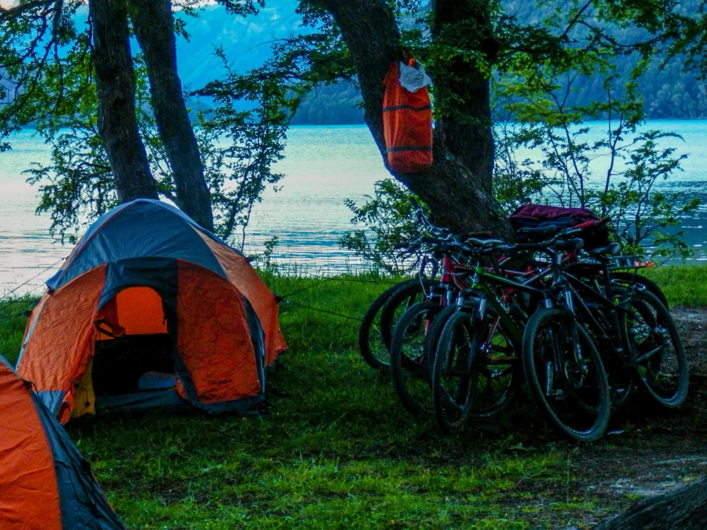 Picture 5