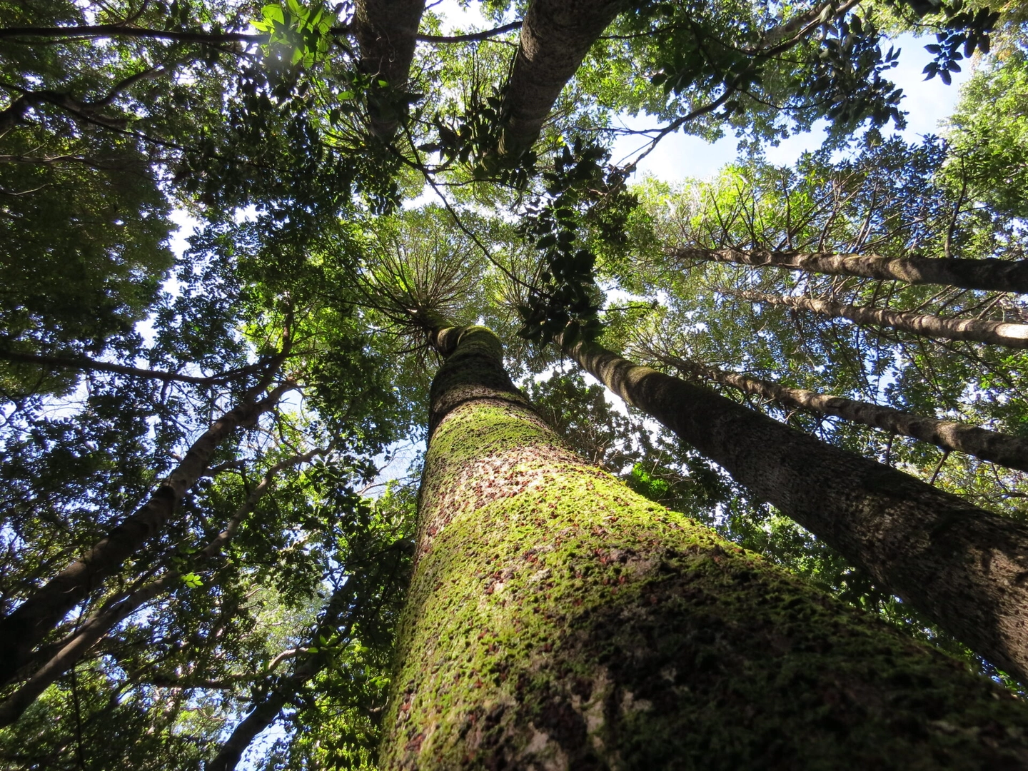 RESERVA NACIONAL LOS RUILES