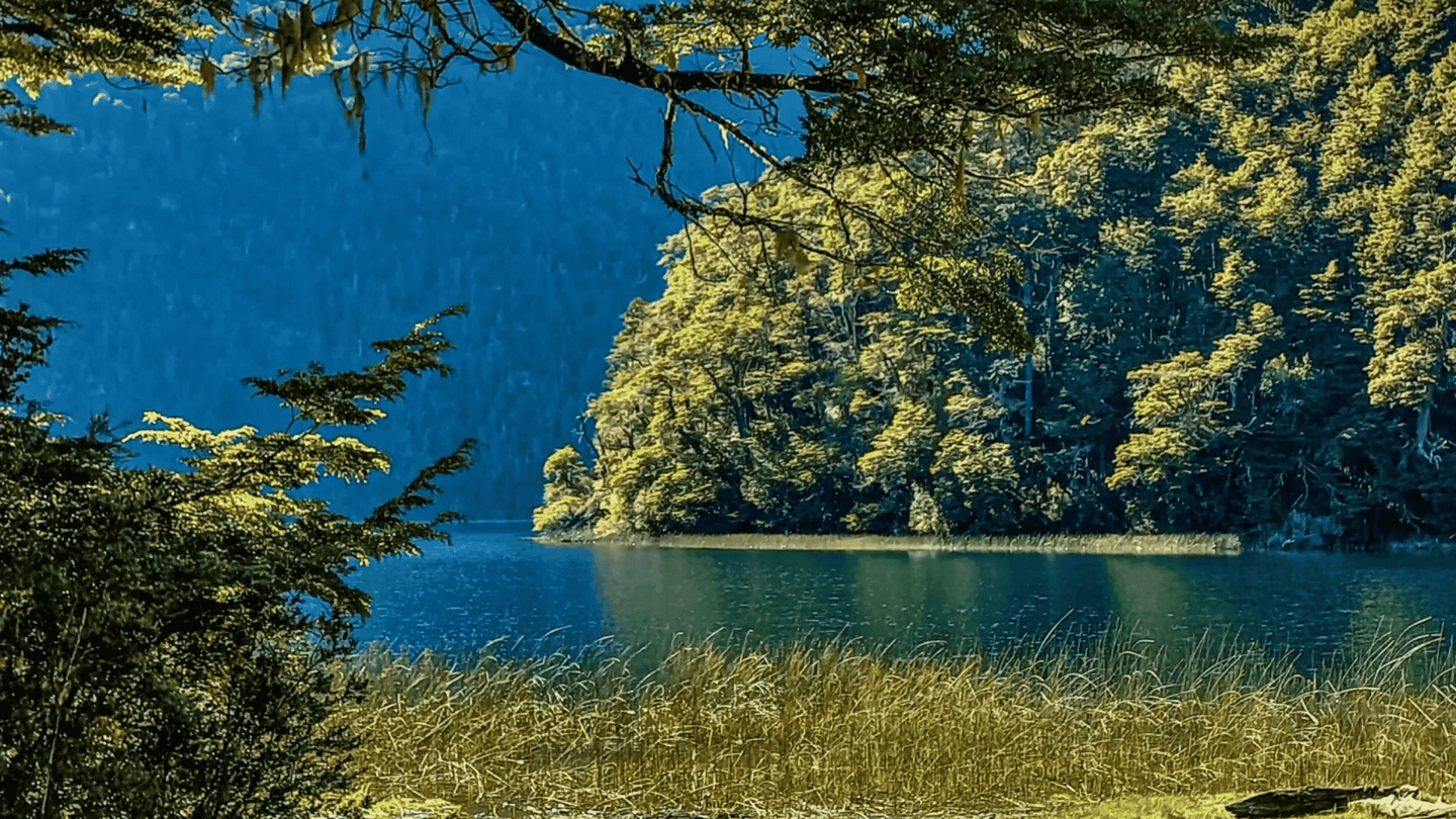 Picture 4