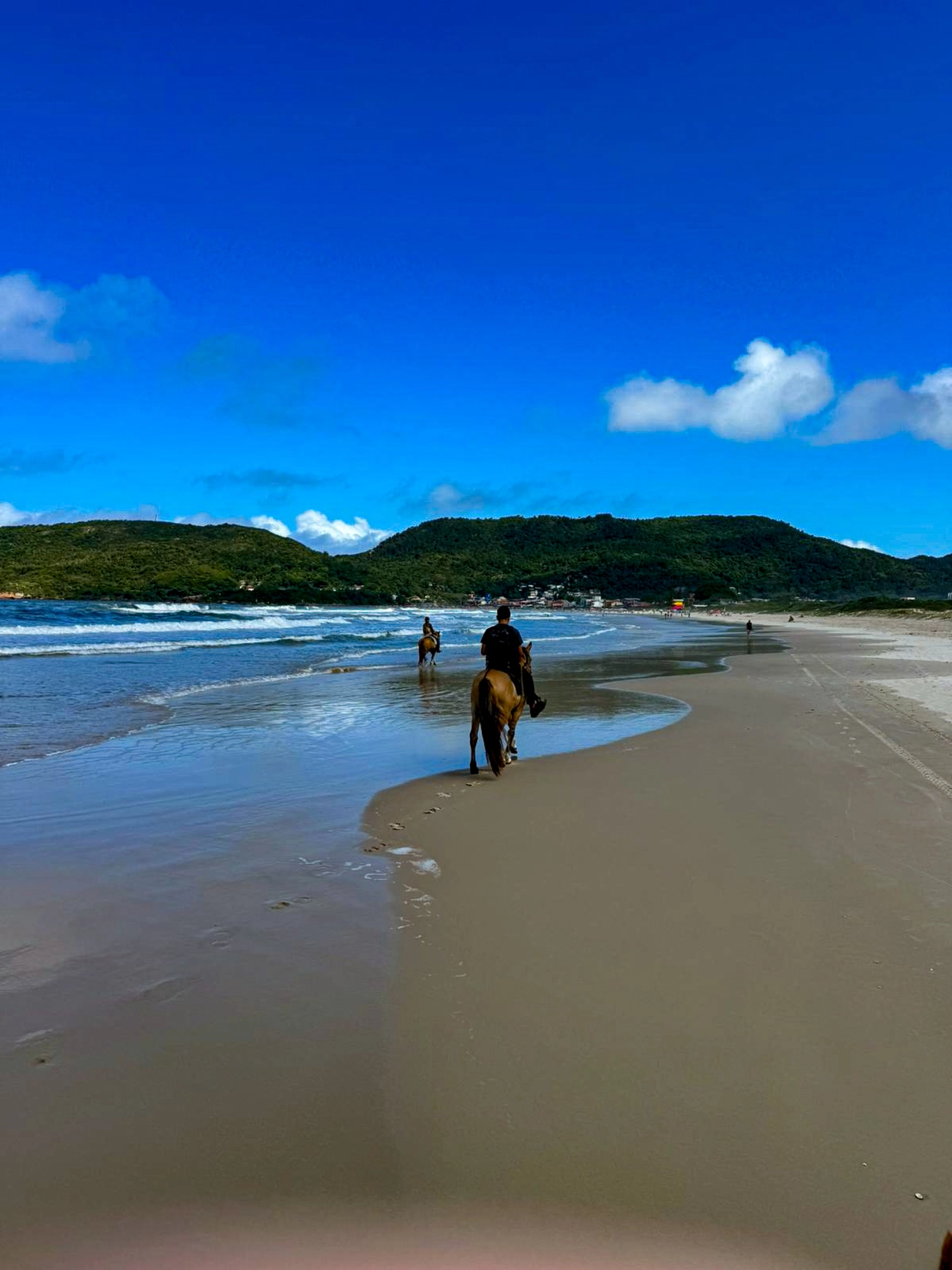 Passeio a Cavalo - Barra da Lagoa (1h)