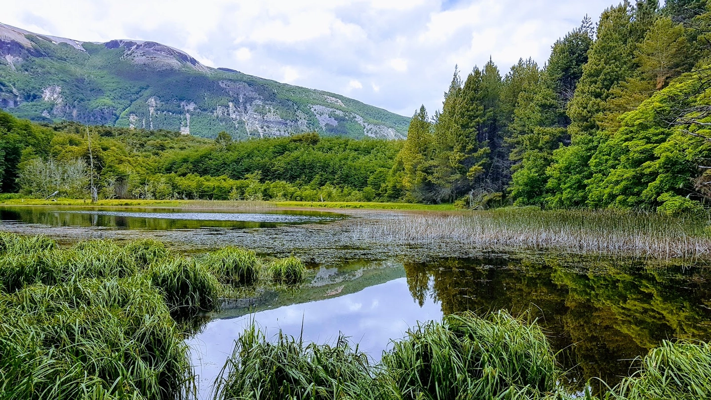 RESERVA NACIONAL COYHAIQUE