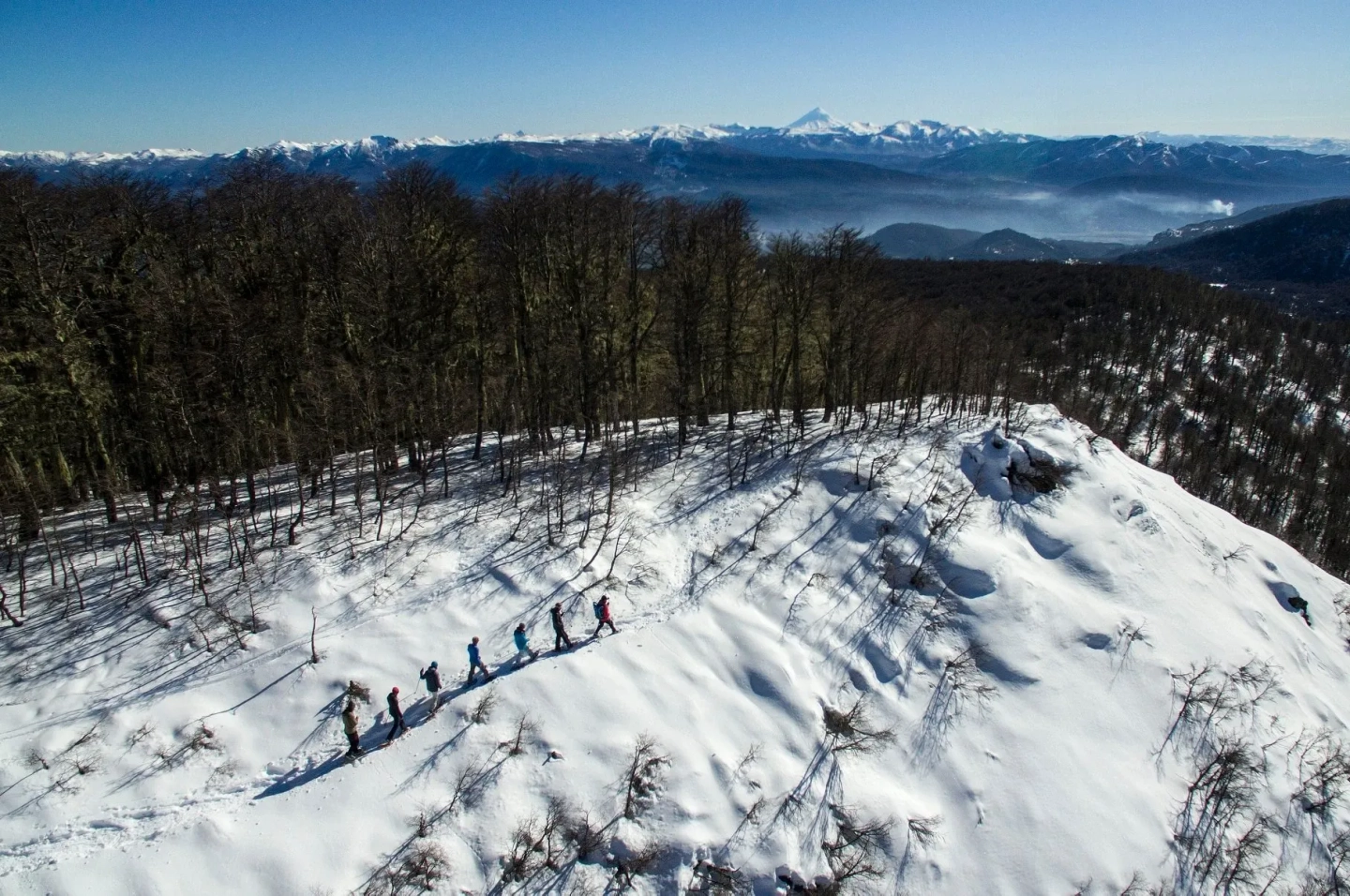 Picture 7
