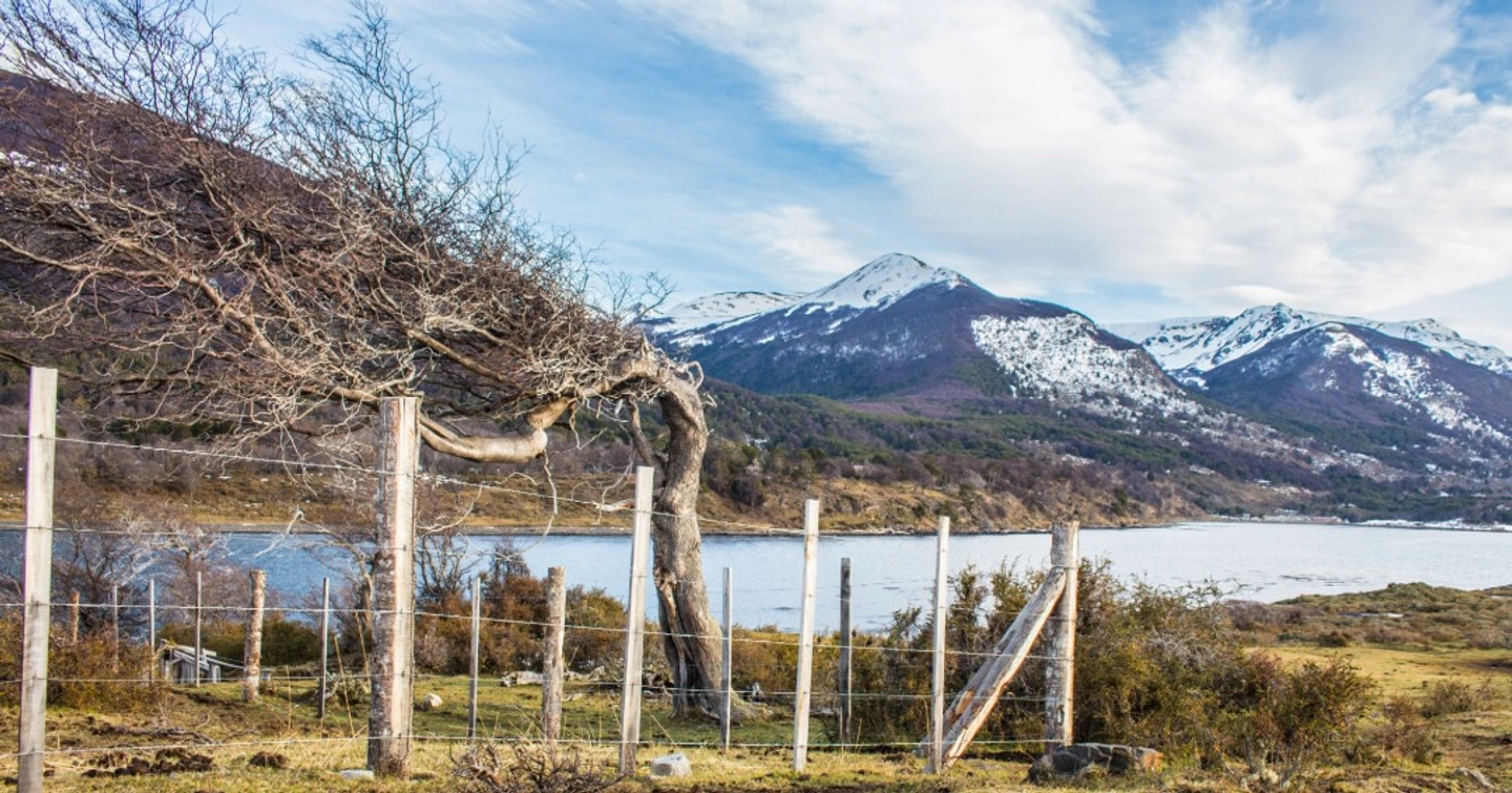 Road Trip al Fin del Camino: Puerto Eugenia desde Puerto Williams