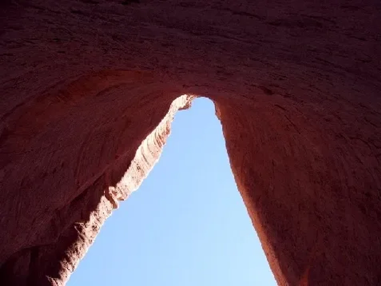 Excursión a Talampaya y Valle de la Luna