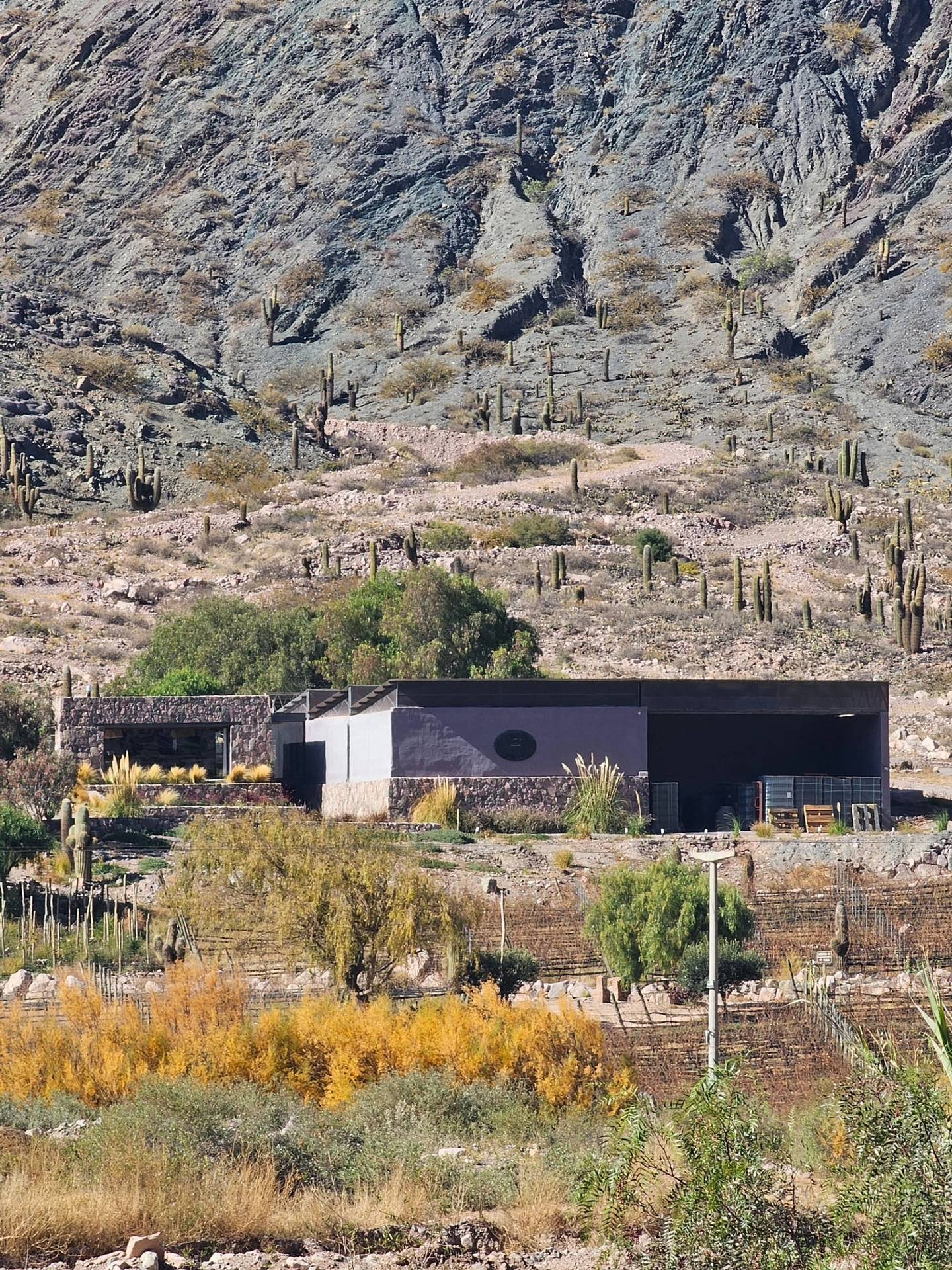 Bus Vitivinícola Quebrada de Humahuaca Sur Domingos