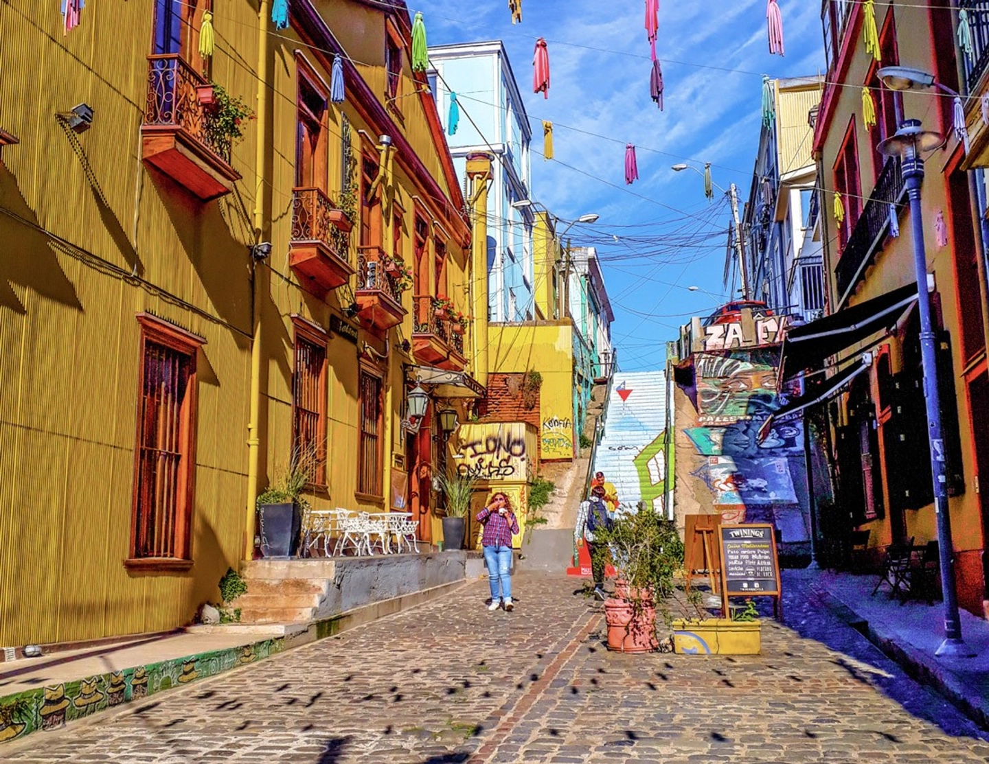 Tour Viña del Mar y Valparaíso desde Santiago