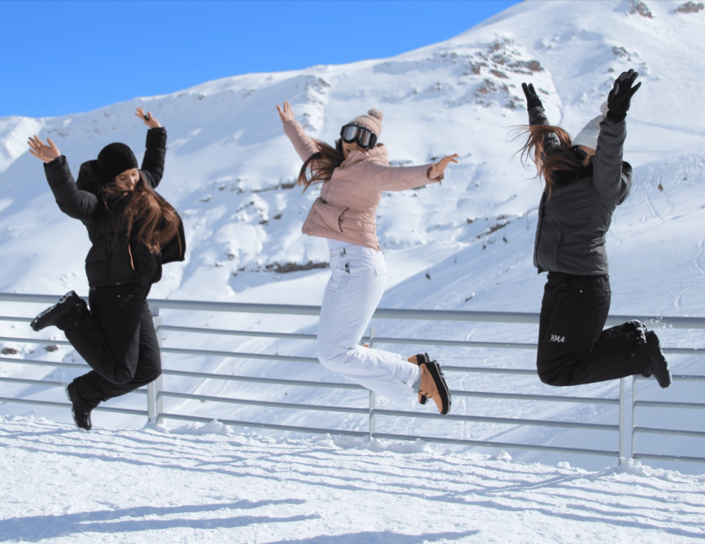 Tour Andes Panoramico a Valle Nevado y Farellones