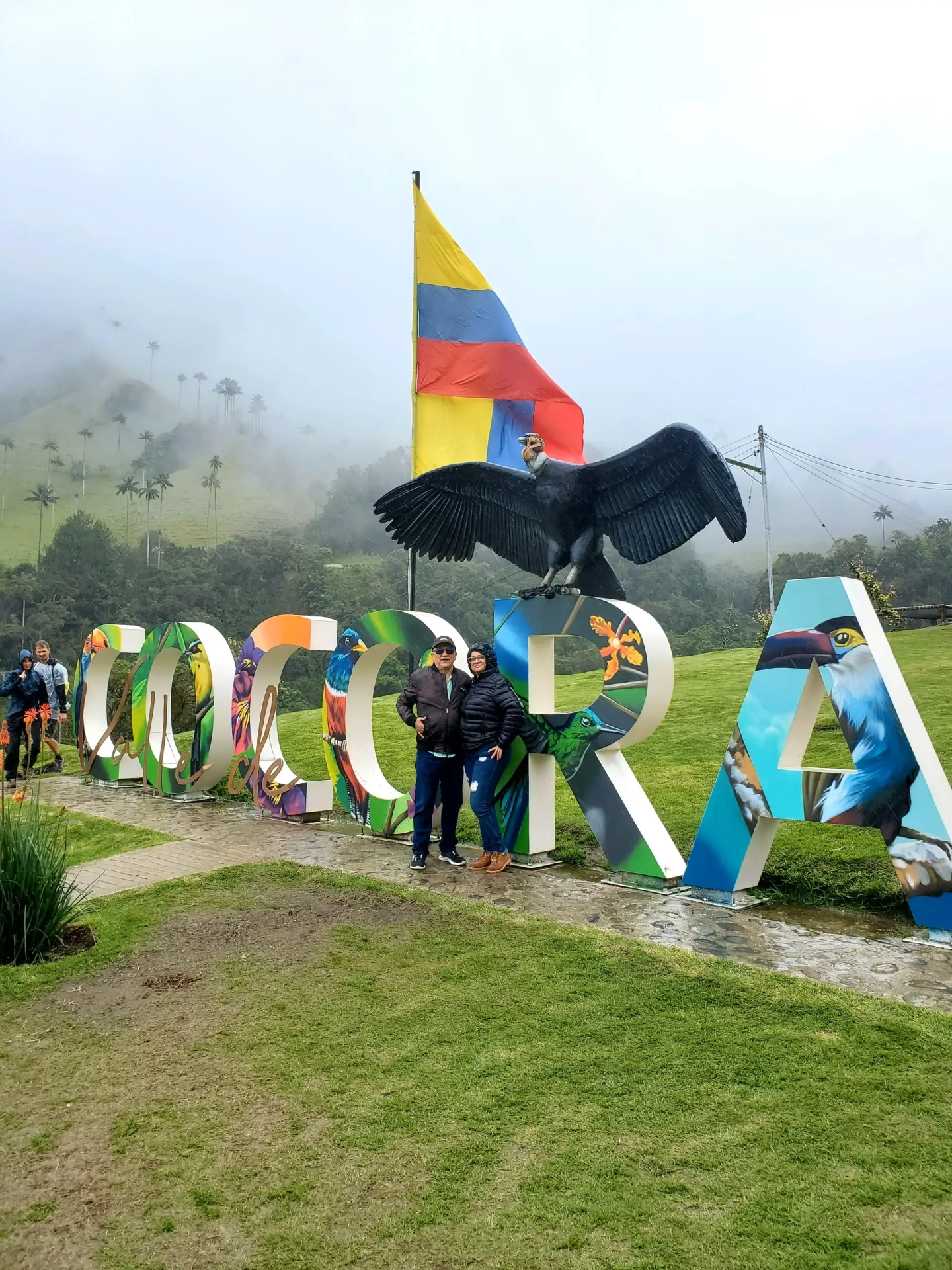 Excursión grupal valle de cocora