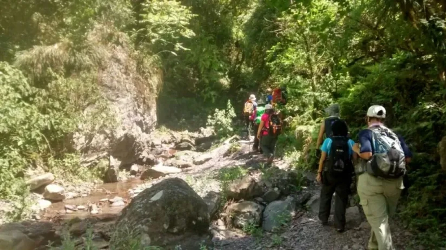 Picture 4