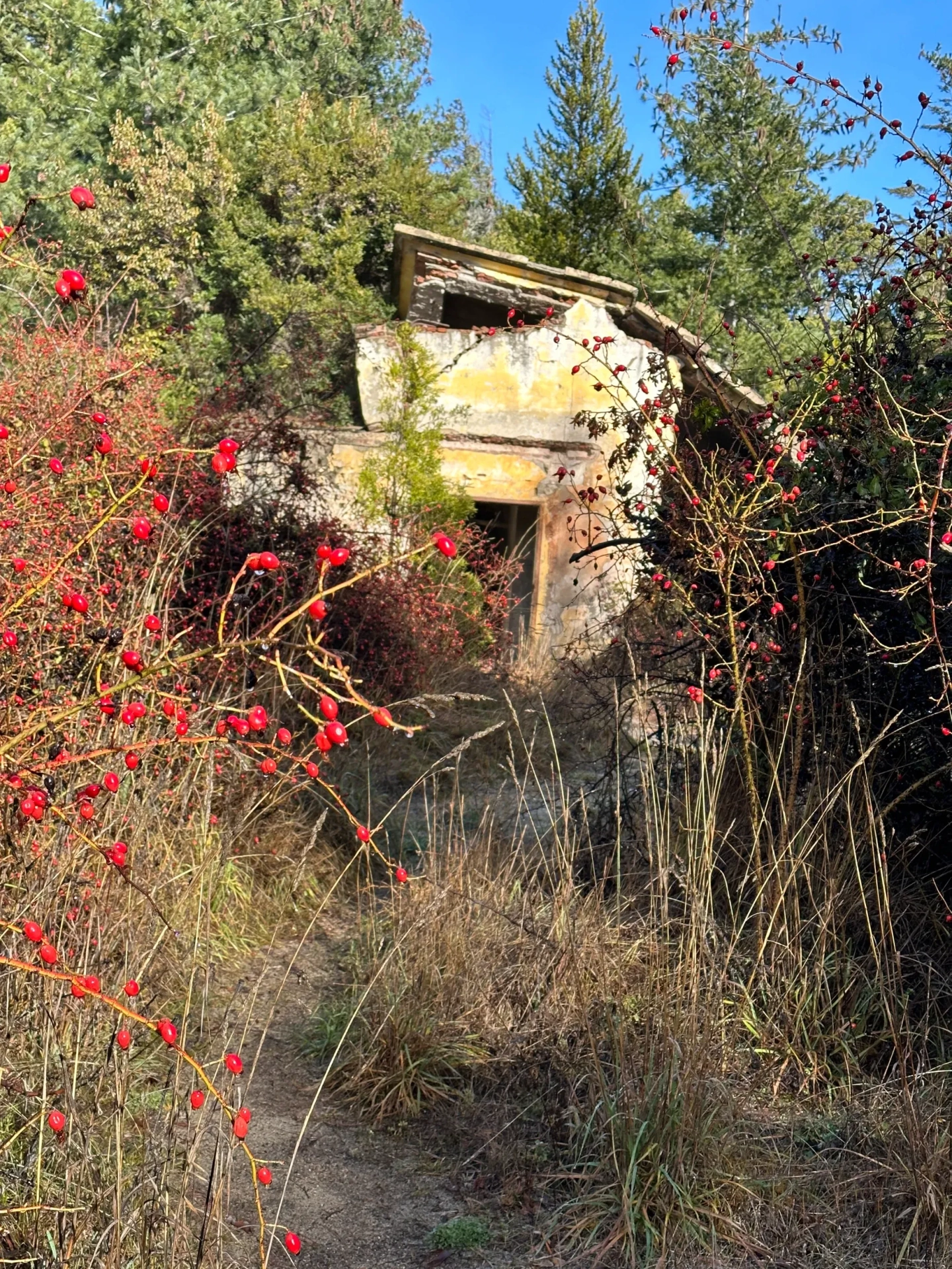 Picture 6