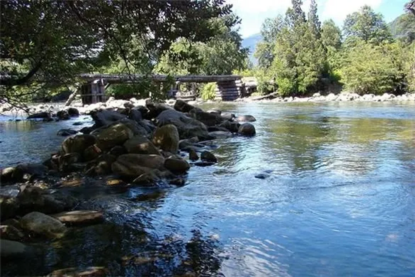 Picture 3