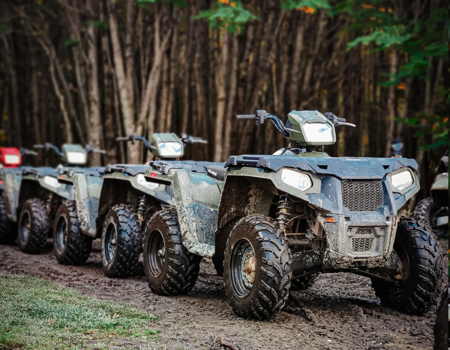 Travesía en 4x4 Offroad, Cuatriciclos y Trekking