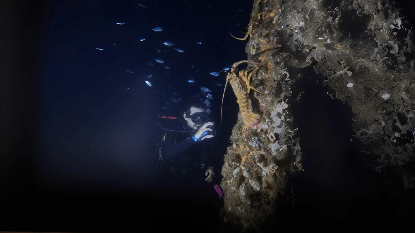 Expedición Submarina Nocturna en Isla Robinson Crusoe