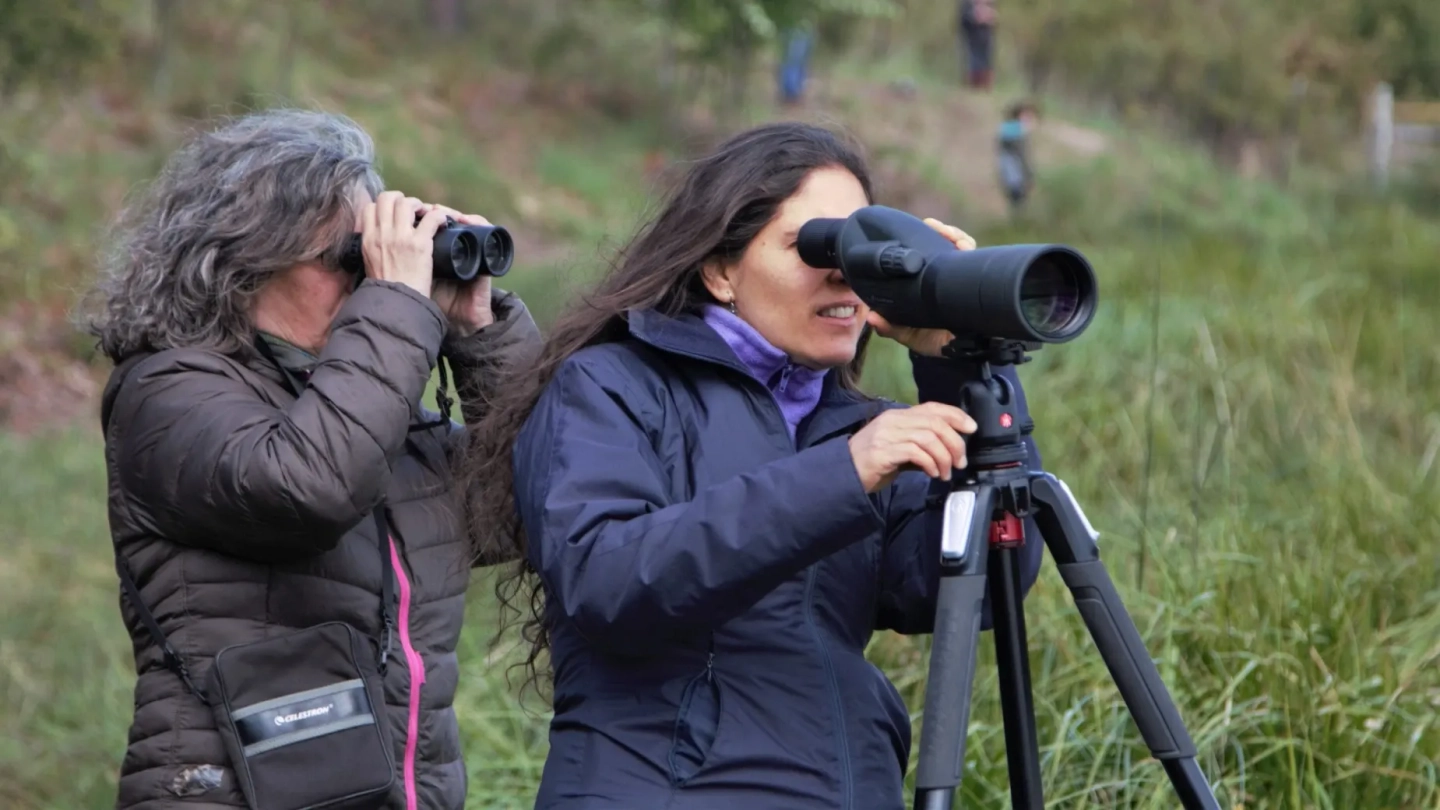 Avistaje de aves en Esquel medio día
